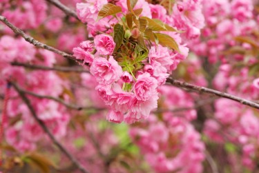 苏州张家港5线下个人借款平台一站式服务，轻松解决资金难题