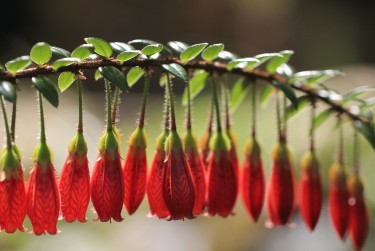 苏州张家港5零用贷短借：轻松解决临时资金需求