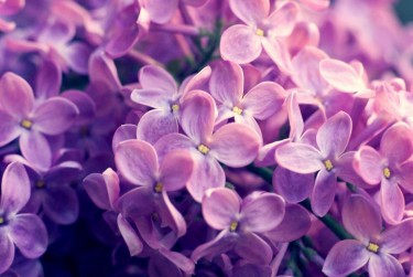 苏州张家港5企业急用钱贷款攻略：快速融资解燃眉之急